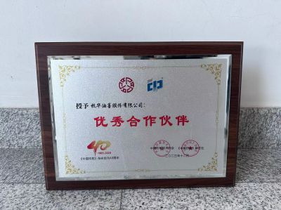 優(yōu)秀合作伙伴